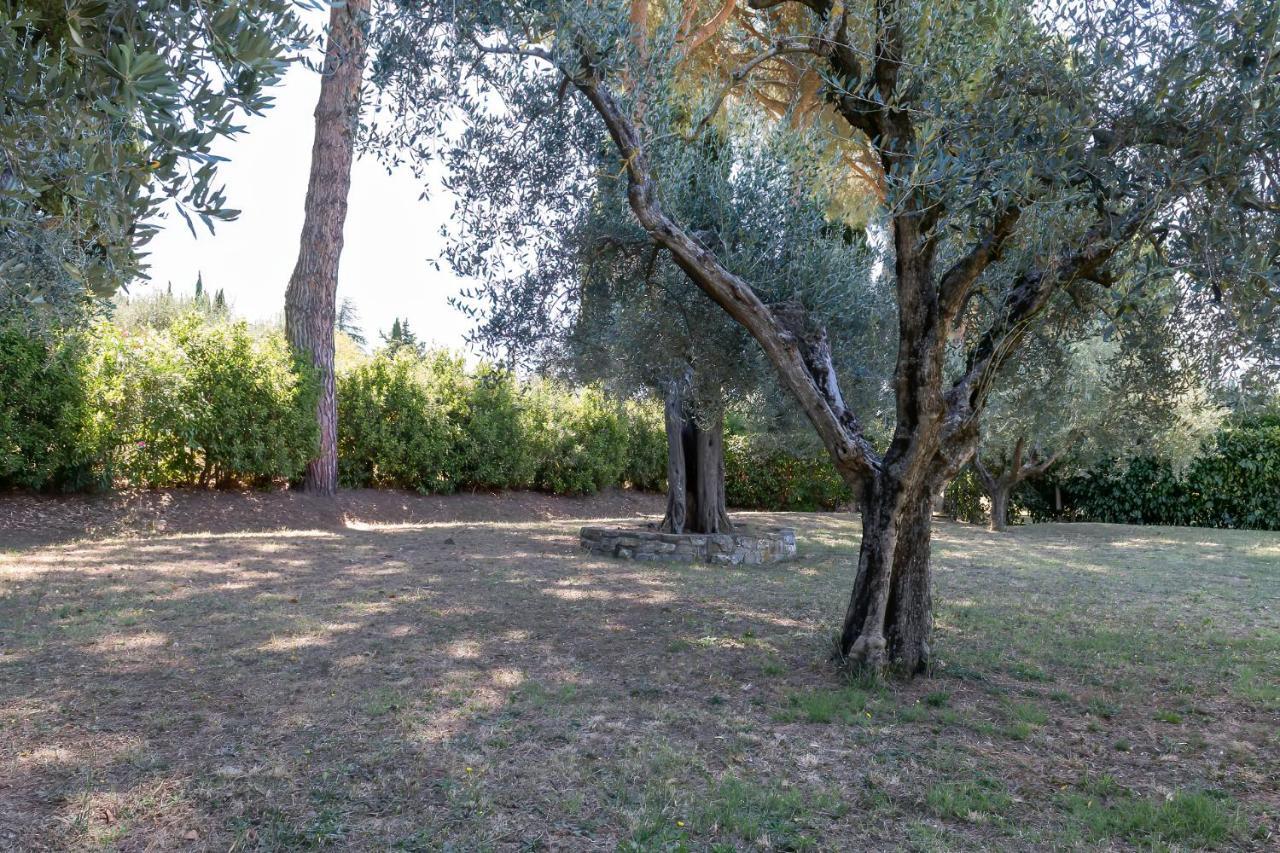 Dolce Far Niente Apartment With Pool & Parking Passignano sul Trasimeno Exteriör bild