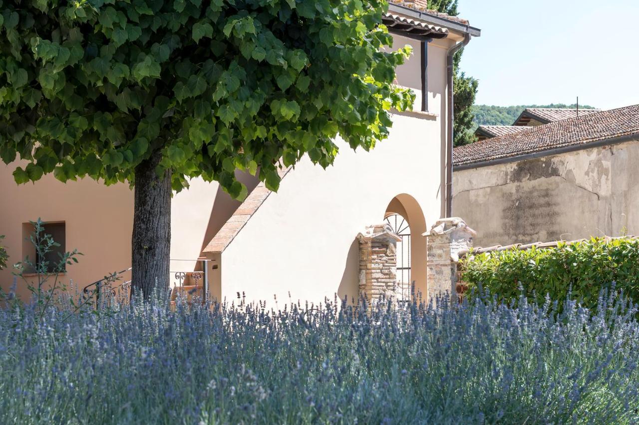 Dolce Far Niente Apartment With Pool & Parking Passignano sul Trasimeno Exteriör bild